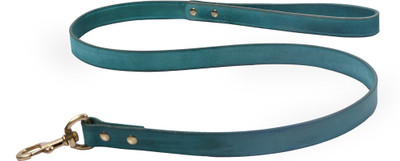 

PetSutra 130 cm Dog Strap Leash(Green)