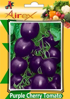 Airex Purple Cherry Tomato Vegetables Seed (Pack Of 10 Seed Per Packet) Seed(10 per packet)