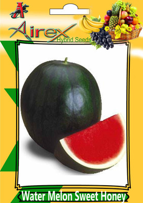 

Airex Water Melon Sweet Honey (Hybrid) Summer Fruit Seed (Pack Of 20 Seed Per Packet) Seed(20 per packet)