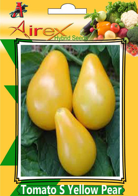 

Airex Tomato S Yellow Pear (Hybrid) Vegetables (4 Packet Of Tomato S Yellow Pear) Seed (Pack of AVG 40-50 Seed * 4 Per Packet) Seed(200 per packet)