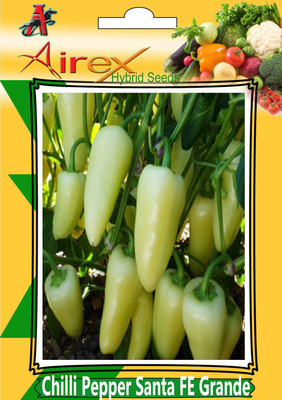 

Airex Chilli Pepper Santa FE Grande (Hybrid) Vegetables Seed (7 Packet Of Chilli Pepper Santa FE Grande) Seed (Pack of AVG 20-30 Seed * 7 Per Packet) Seed(210 per packet)