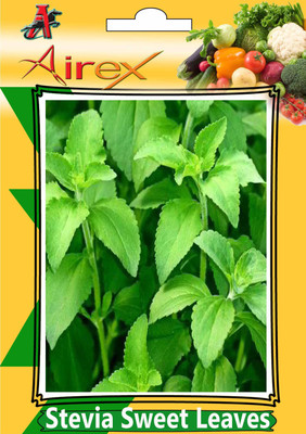 

Airex Stevia Sweet Leaves Herb Seed (5 Packet Of Stevia Sweet Leaves) Seed (Pack of AVG 30-40 Seed * 5 Per Packet) Seed(200 per packet)