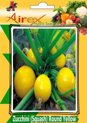 Airex Zucchini (Squash) Round Yellow (Hybrid) Seed (4 Packet Of Zucchini (Squash) Round Yellow) Seed (Pack of AVG 20-30 Seed * 4 Per Packet) Seed(120 per packet)