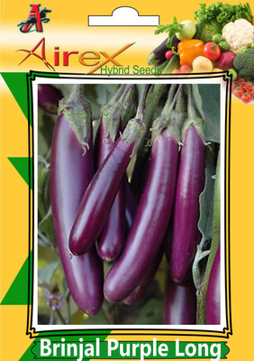 

Airex Brinjal Purple Long (Hybrid) Vegetables Seed (4 Packet Of Brinjal Purple Long) Vegetables Seed (Pack of AVG 40-50 Seed * 4 Per Packet) Seed(200 per packet)