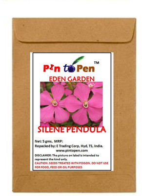 

Pin to Pen nodding catchfly Seed(35 per packet)