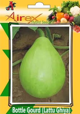 Airex Bottle Gourd (Hybrid) Lattu Ghiya) Vegetables Seed (2 Packet Of Bottle Gourd (Lattu Ghiya) Vegetables Seed (Pack of AVG 20-30 Seed * 2 Per Packet) Seed(60 per packet)