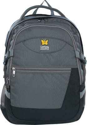 

Liviya LP-1242 36 L Laptop Backpack(Grey)