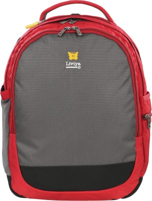 

Liviya LP-1482 32 L Laptop Backpack(Grey, Red)