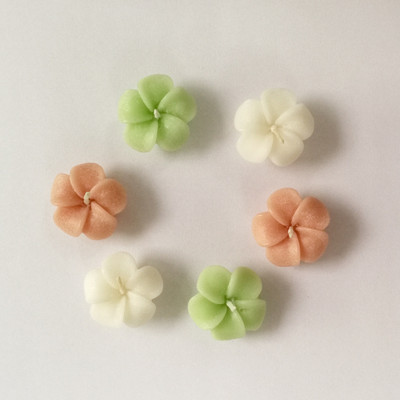 

Divine Lights Floating Flower Candle- Green, White, Salmon Red - Set of 6- (1.5 x 1.5 x 0.5 inches) Candle(Multicolor, Pack of 6)