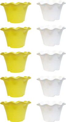 

Bluerider Plant Container Set(Plastic)
