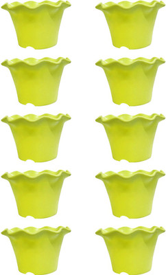 

Bluerider Plant Container Set(Plastic)