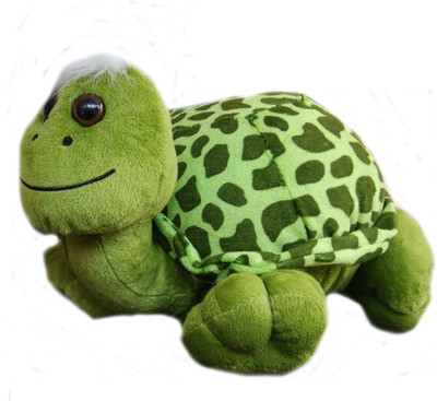 

Speoma Tortoise Animal stuffed soft toy - 35 cm(Multicolor)