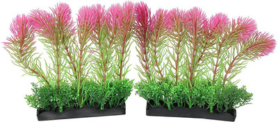 

Jainsons Pet Products Laterite Planted Substrate(Multicolor)
