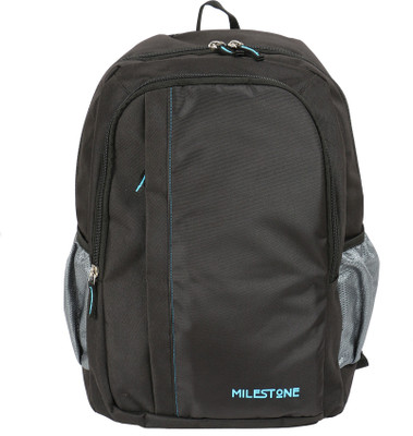 

Milestone 18.5 Laptop Bag Grey 18.4 L Laptop Backpack(Grey)