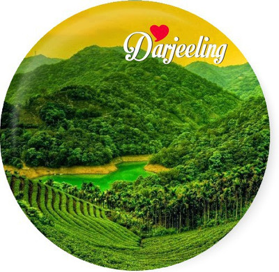 PEACOCKRIDE Love Darjeeling Fridge Magnet Pack of 1(Multicolor)