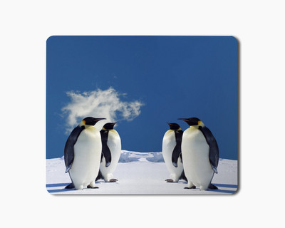 

iKraft Mouse Pad Mousepad(Multicolor)