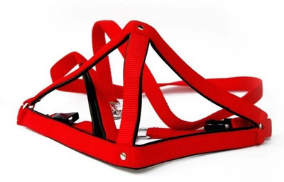 

Furious3D Dog Harness & Leash(, RED