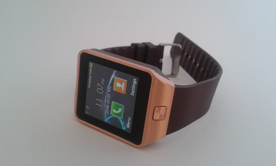 

Newone Camera Smart watch Dz09 Brown Smartwatch(Brown Strap XL)