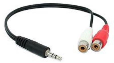 

Prro TV-out Cable 6Inch 3.5mm Stereo Male to 2 RCA Female Cable, Gold-Plated (Red & White)(Black, For TV)