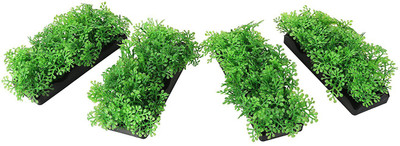 

Jainsons Pet Products Laterite Planted Substrate(Green)