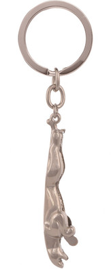 

SLN Retail Jaguar Steel Key Ring Key Chain Key Chain