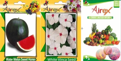 Airex Water Melon Sweet Honey (Hybrid) and White Vinca (Summer) Seed + Humic Acid Fertilizer (For Growth of All Plant and Better Responce) 15 gm Humic Acid + Pack Of 50 Seed Water Melon Sweet Honey (Hybrid) + 50 White Vinca) Seed Seed(50 per packet)