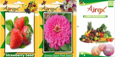 Airex Strawberry and Pink Zinnia (Summer) Seed + Humic Acid Fertilizer (For Growth of All Plant and Better Responce) 15 gm Humic Acid + Pack Of 50 Seed Strawberry + 50 Pink Zinnia) Seed Seed(50 per packet)