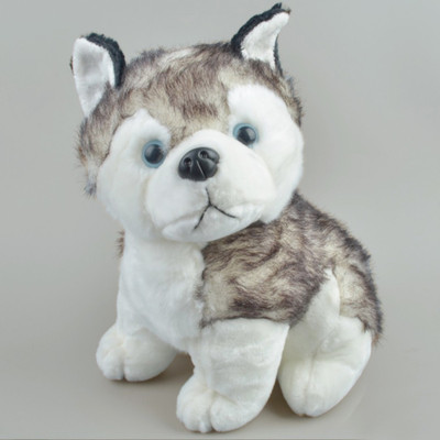 

Cherubs Large Size Husky Plush - 30 cm(White)