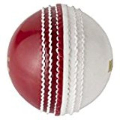 

DSC MARATHON RED & WHITE BALL Cricket Leather Ball - Size: 5(Pack of 1, Multicolor)