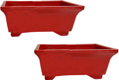 

BLUE RIDER Plant Container Set(Plastic)