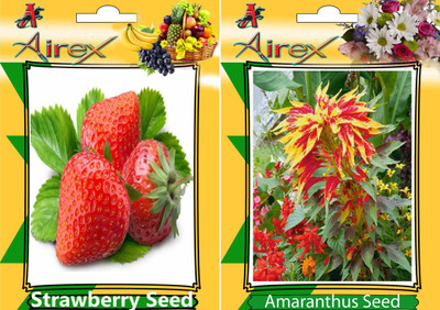 Airex Strawberry and Amaranthus (Summer) Seed (Pack Of 25 Seed Strawberry + 25 Amaranthus) Seed Seed(25 per packet)