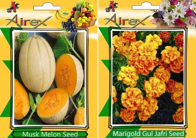 Airex Musk Melon and Marigold Gul Jafri (Summer) Seed (Pack Of 15 Seed Musk Melon + 15 Marigold Gul Jafri) Seed Seed(15 per packet)