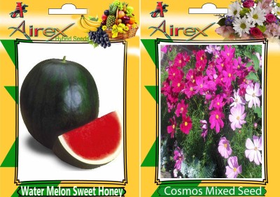 Airex Water Melon Sweet Honey (Hybrid) and Cosmos Mixed (Summer) Seed (Pack Of 25 Seed Water Melon Sweet Honey (Hybrid) + 25 Cosmos Mixed) Seed Seed(25 per packet)