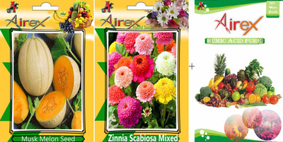 Airex Musk Melon and Zinnia Scabiosa Mixed Hybrid (Summer) Seed + Humic Acid Fertilizer (For Growth of All Plant and Better Responce) 15 gm Humic Acid + Pack Of 50 Seed Musk Melon + 30 Zinnia Scabiosa Mixed Hybrid) Seed Seed(50 per packet) Airex Musk Melon and Zinnia Scabiosa Mixed Hybrid (Summer) Seed + Humic Acid Fertilizer (For Growth of All Plant and Better Responce) 15 gm Humic Acid + Pack Of 50 Seed Musk Melon + 30 Zinnia Scabiosa Mixed Hybrid) Seed Seed(50 per packet)