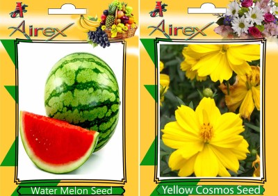 Airex Water Melon and Yellow Cosmos (Summer) Seed (Pack Of 20 Seed Water Melon + 20 Yellow Cosmos) Seed Seed(20 per packet)