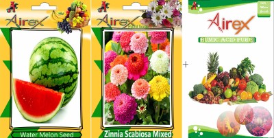 Airex Water Melon and Zinnia Scabiosa Mixed Hybrid (Summer) Seed + Humic Acid Fertilizer (For Growth of All Plant and Better Responce) 15 gm Humic Acid + Pack Of 50 Seed Water Melon + 30 Zinnia Scabiosa Mixed Hybrid) Seed Seed(50 per packet)