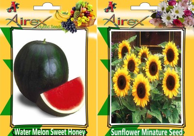 Airex Water Melon Sweet Honey (Hybrid) and Sunflower Minature (Summer) Seed (Pack Of 15 Seed Water Melon Sweet Honey (Hybrid) + 15 Sunflower Minature) Seed Seed(15 per packet)