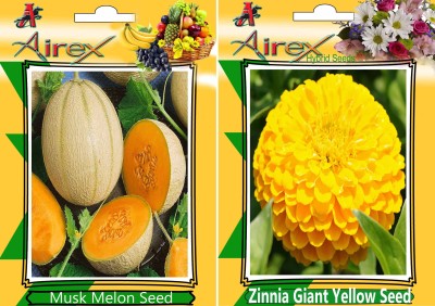 Airex Musk Melon and Zinnia Giant Yellow Hybrid (Summer) Seed (Pack Of 20 Seed Musk Melon + 20 Zinnia Giant Yellow Hybrid) Seed Seed(20 per packet)