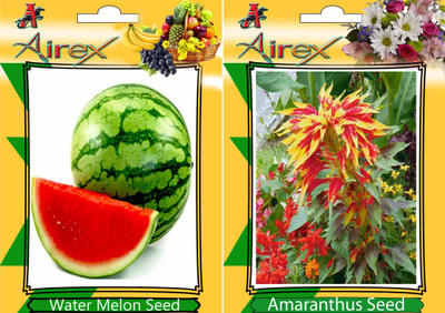 Airex Water Melon and Amaranthus (Summer) Seed (Pack Of 15 Seed Water Melon + 15 Amaranthus) Seed Seed(15 per packet) Airex Water Melon and Amaranthus (Summer) Seed (Pack Of 15 Seed Water Melon + 15 Amaranthus) Seed Seed(15 per packet)