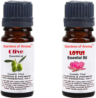 

Gardens Of Aroma Olive And Lotus(20 ml)