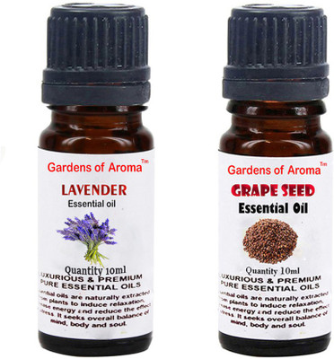 

Gardens Of Aroma Lavender And Grapeseed(20 ml)