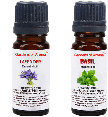 

Gardens Of Aroma Lavender And Basil(20 ml)