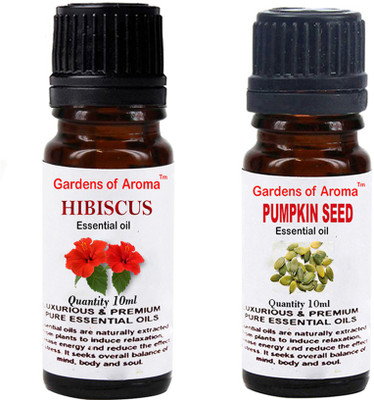 

Gardens Of Aroma Hibiscus And Pumkinseed(20 ml)