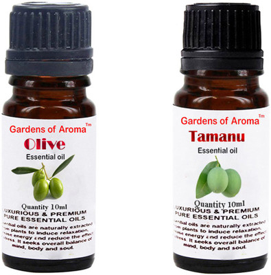 

Gardens Of Aroma Olive And Tamanu(20 ml)