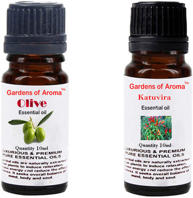 

Gardens Of Aroma Olive And Katuvira(20 ml)