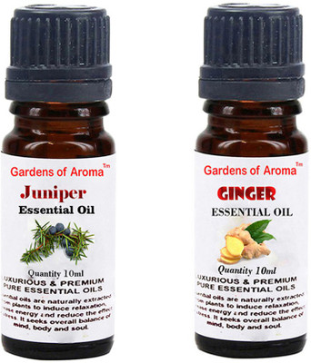 

Gardens Of Aroma Juniper And Ginger(20 ml)