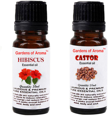 

Gardens Of Aroma Hibiscus And Castor(20 ml)