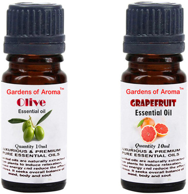 

Gardens Of Aroma Olive And Grapefruit(20 ml)