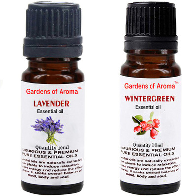 

Gardens Of Aroma Lavender And Wintergreen(20 ml)