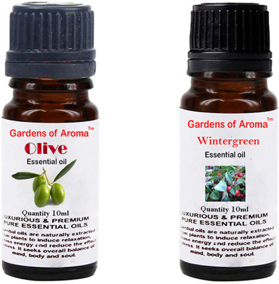 

Gardens Of Aroma Olive And Wintergreen(20 ml)